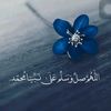user8838837529534