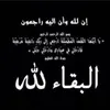 user8631077331904