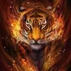 tiger77575