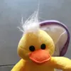 funkyduckduckduck