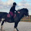 daisybjones
