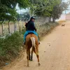 anjos_081