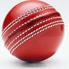 cricket.master