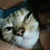 valenkiii_