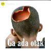 detayolo