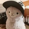user037289207