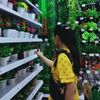 jerni_sari.halawa