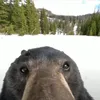 ?