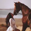 horse383838