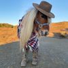 horsesforproductions