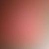 user4226653030829