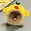 meobtpay