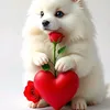 .ylee4