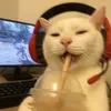 lilou_hrdq