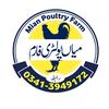 Mian Poultry Farm