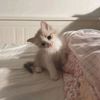 dasha._._13
