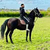 mrbasit38
