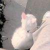 jaehyun_244