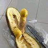 penikmat_dunia_wii