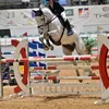 mt.sporthorses