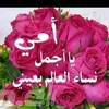 aboraed12344gmail.com