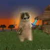 hinhvi4