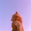 soleil__a
