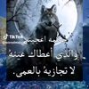 abohsnalhefaoe