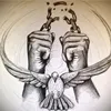 user3518590017934