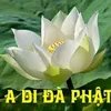 tr.thi.thy79