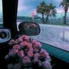 rahmaanwar01