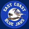 eastcoastbluejays