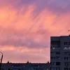 igordavu0