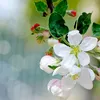 wwtiktoflor