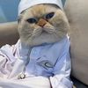 user276945226237mrs