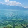 djonkonnar
