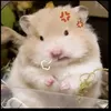 huynh_giao1212