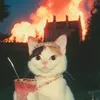 aristheecats