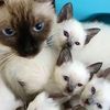 fiz_2450023