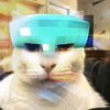 the_diamondcat