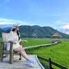 muongaydaucode