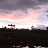 kang0mancing1