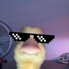 arnbvt