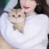 irumshah23456nolove