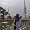 nendifa