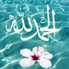 dyad07f64unq