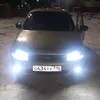 nekit.716