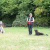 pawsintraining1