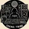 signalkontroltoy