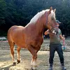 alexandrumarian169
